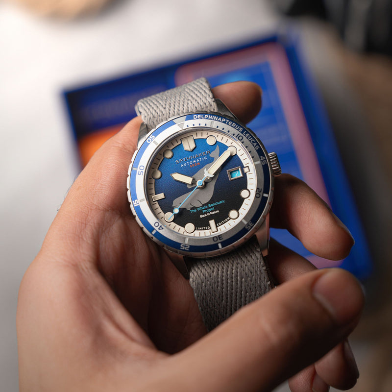 Hass Automatic Whale Sanctuary Project Limited Edition Delphinapterus Leucas