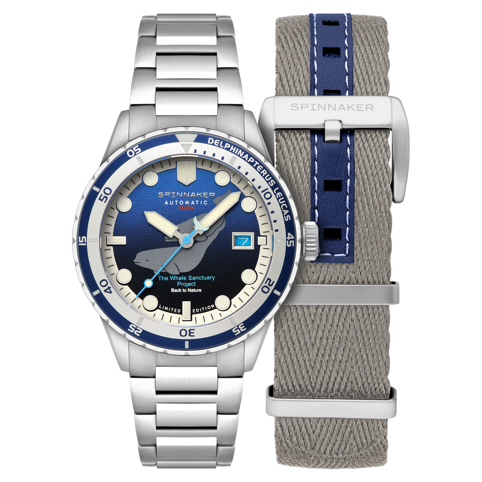 Hass Automatic Whale Sanctuary Project Limited Edition Delphinapterus Leucas