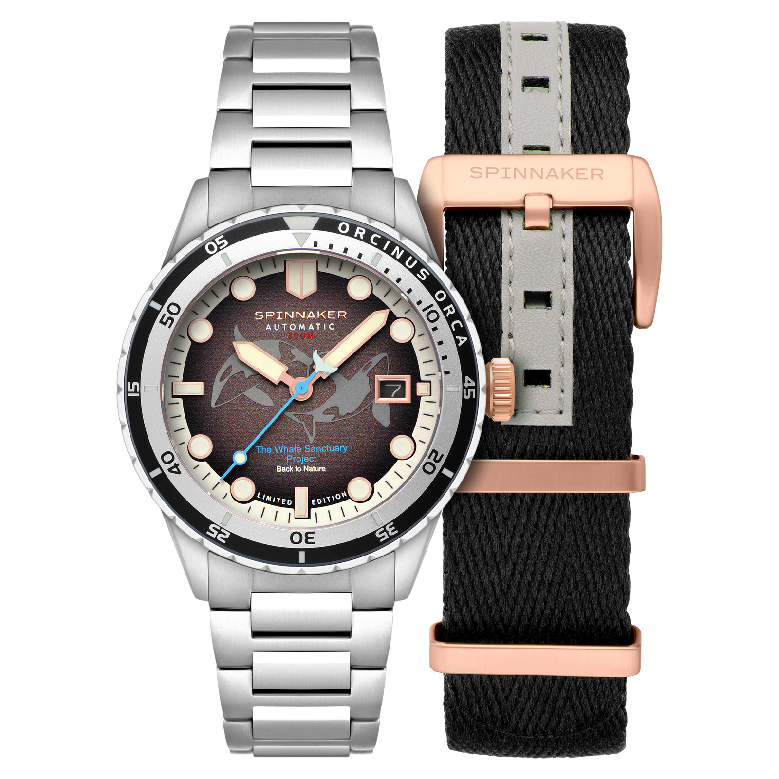 Hass Automatic Whale Sanctuary Project Limited Edition Orcinus Orca